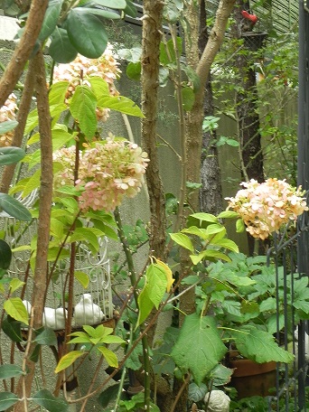 c0152002_18215749.jpg