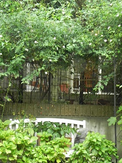 c0152002_18244350.jpg
