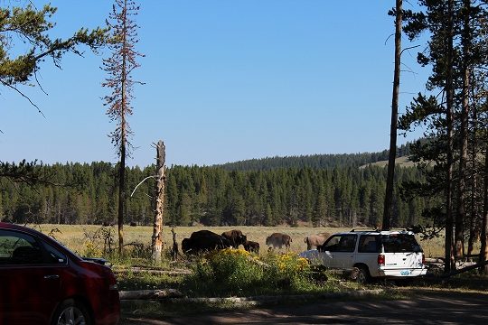 c0153302_15000464.jpg