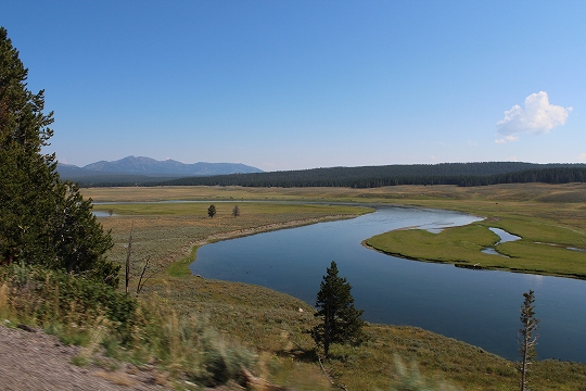 c0153302_15221024.jpg