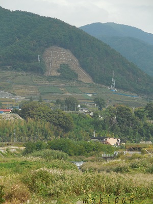c0229312_10504993.jpg