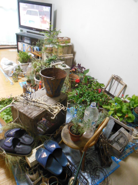 f0208812_956129.jpg