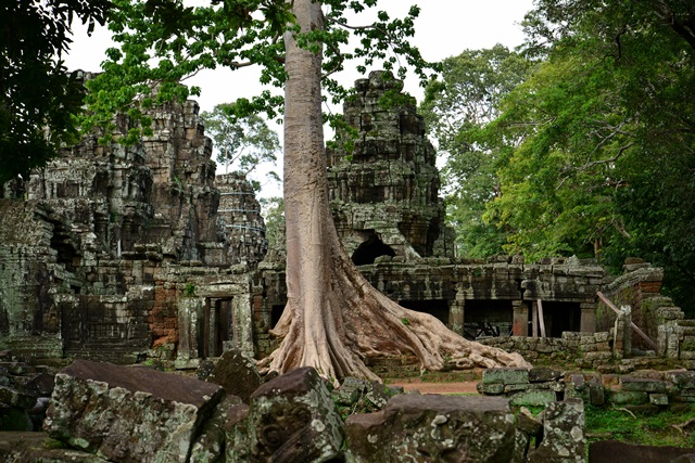 f0046614_11423094.jpg