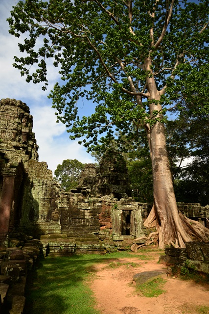 f0046614_11584524.jpg