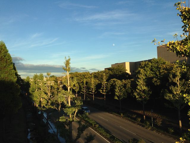 c0131823_20192583.jpg