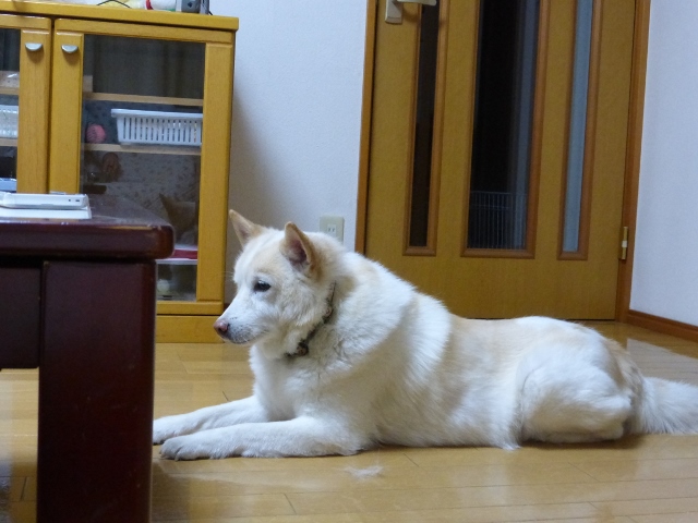 b0138430_10403918.jpg