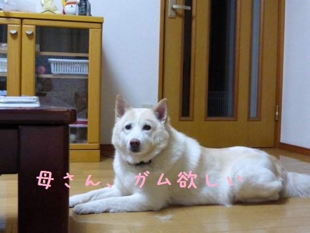 b0138430_10423164.jpg