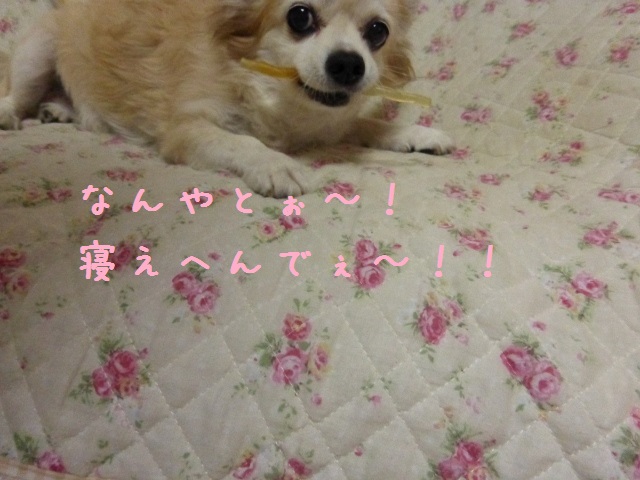 b0138430_10445631.jpg