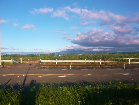 a0206332_747317.jpg