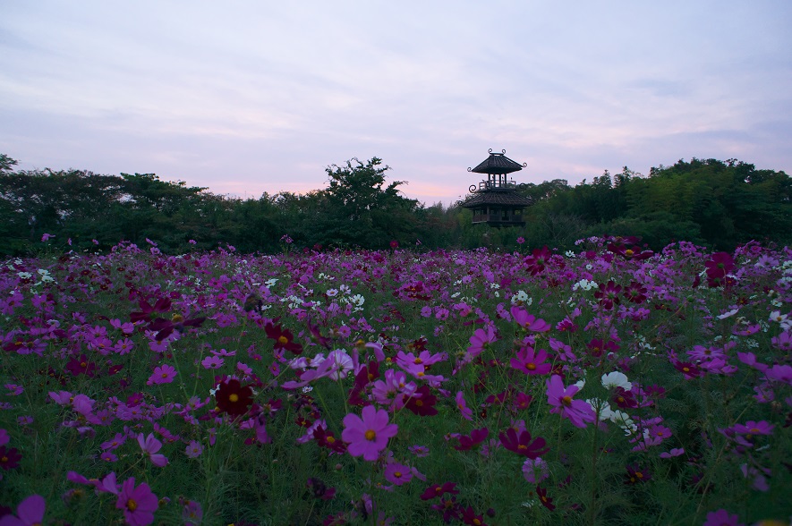 f0274536_23583955.jpg