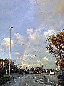a0135840_1027374.jpg
