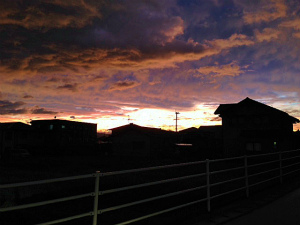 a0135840_10281847.jpg