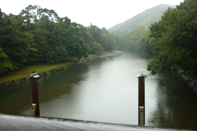 d0072246_1738518.jpg