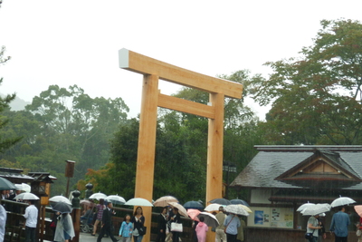 d0072246_1739689.jpg