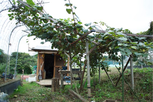 c0063348_15582781.jpg