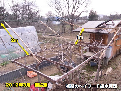 c0063348_15583629.jpg