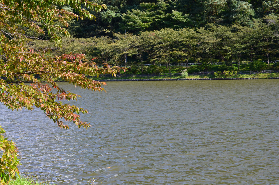 d0283357_1115412.jpg