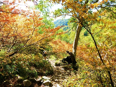 e0170558_00090175.jpg