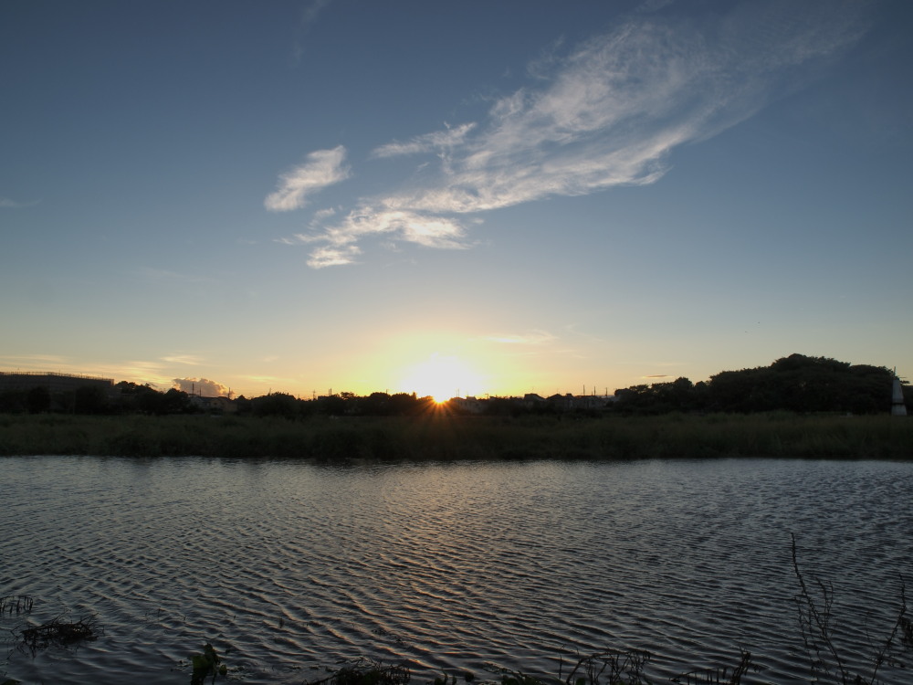 a0073065_2093495.jpg