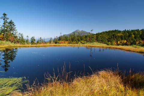 e0045768_22131340.jpg