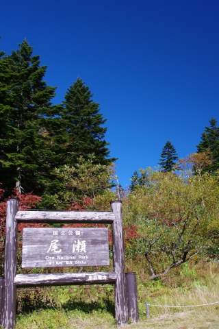e0045768_2255686.jpg