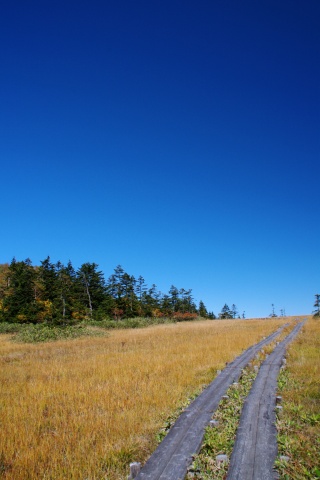 e0045768_2272847.jpg