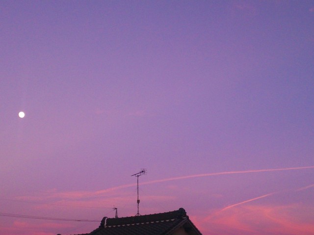 b0326576_22242130.jpg