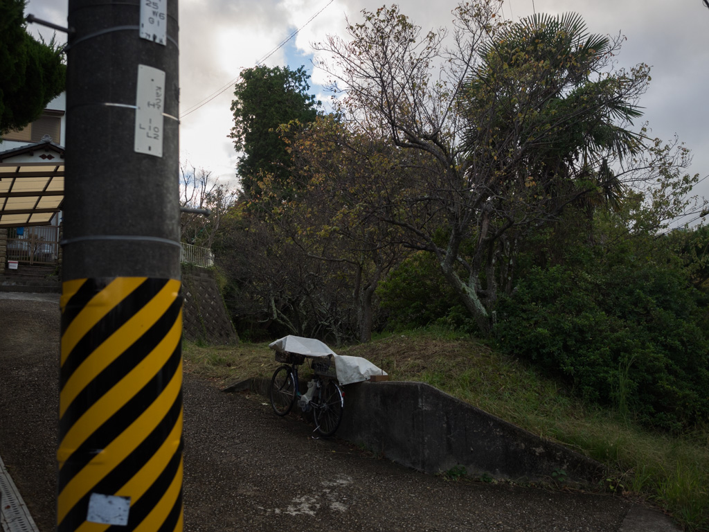 f0167977_23544010.jpg