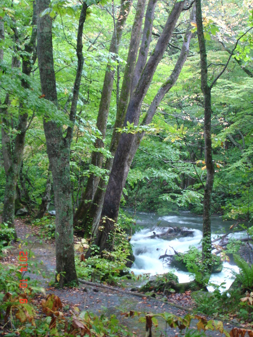 d0165378_17103164.jpg