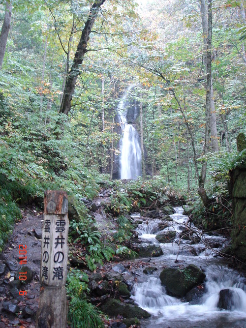 d0165378_1792957.jpg