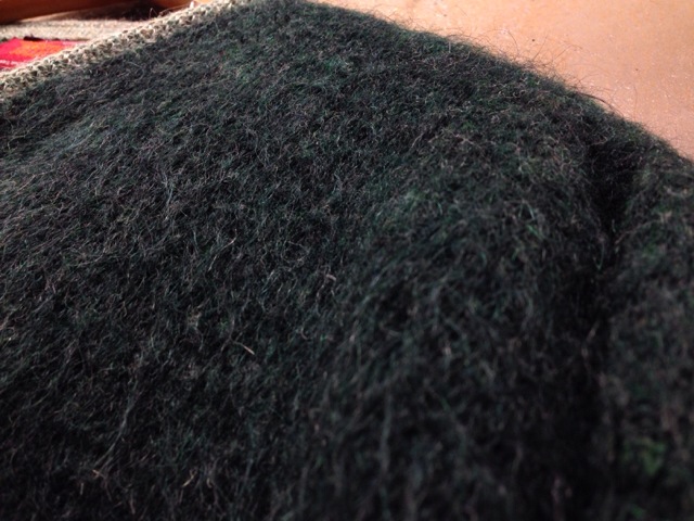 c0078587_17371439.jpg