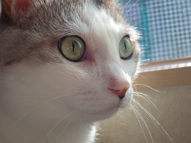 a0159490_13481266.jpg