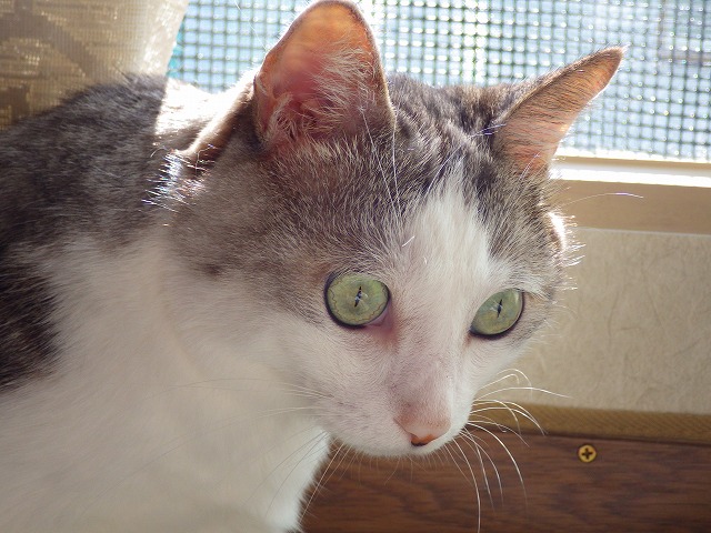 a0159490_13482296.jpg