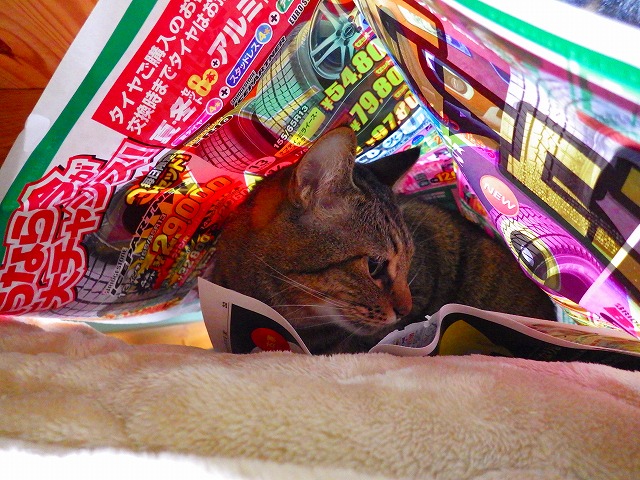 a0159490_13484378.jpg
