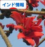 c0338191_23351088.jpg