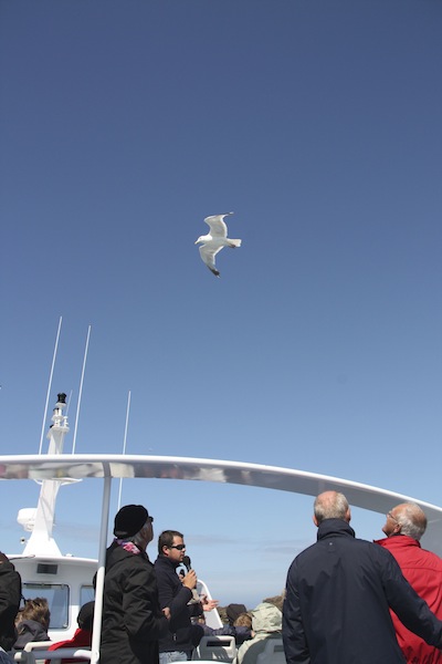 f0044892_435640.jpg