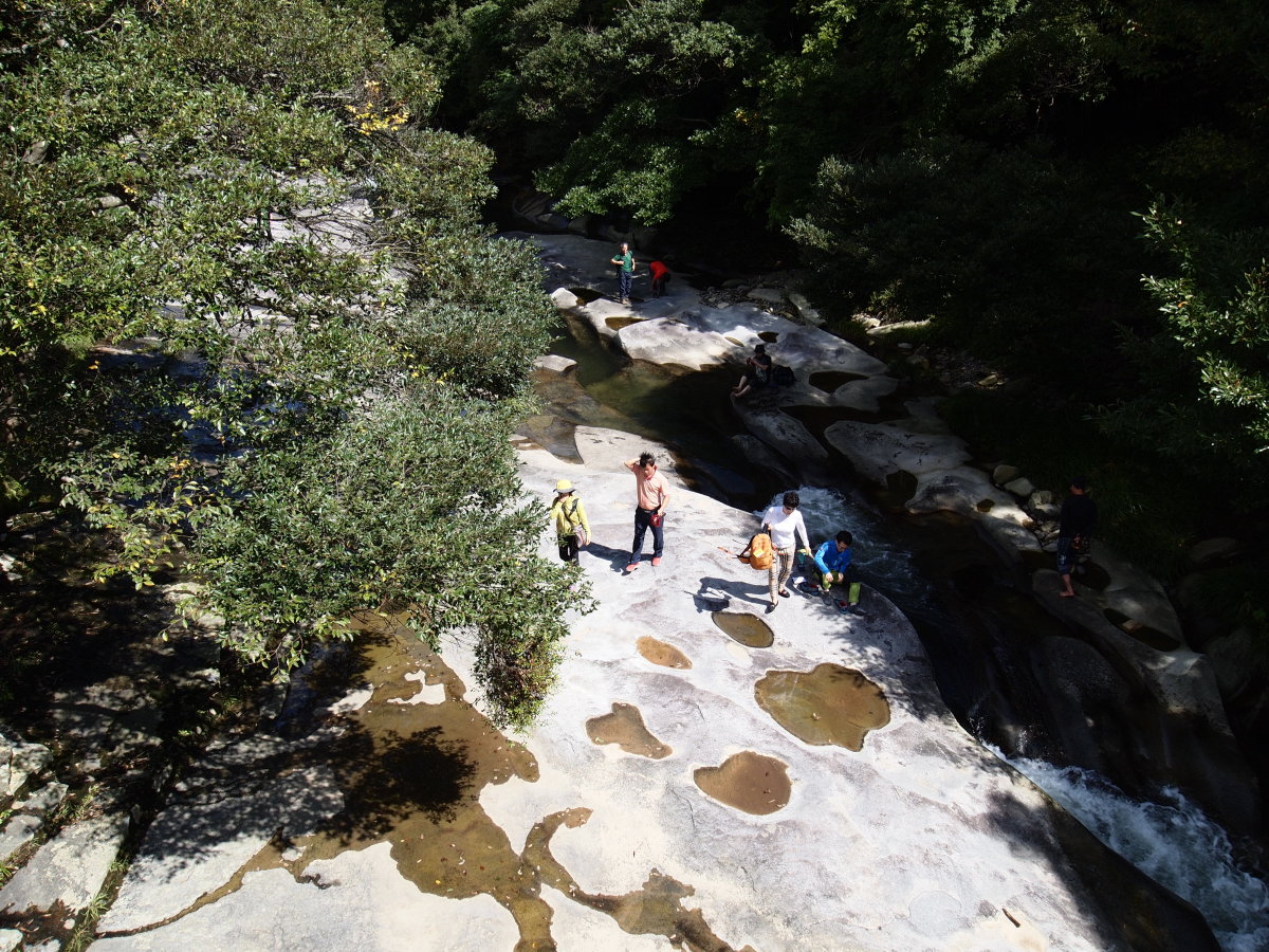 b0165802_7315916.jpg