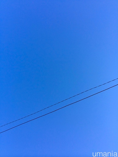 b0061004_2014337.jpg