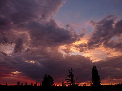 a0310405_04375977.jpg