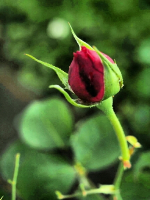 d0001008_9212563.jpg