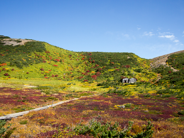 b0244811_20252150.jpg