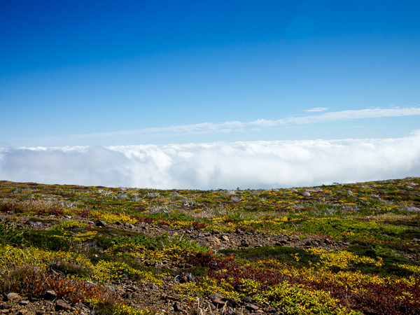 b0244811_2030840.jpg