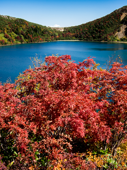 b0244811_20325640.jpg