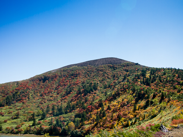 b0244811_20342936.jpg