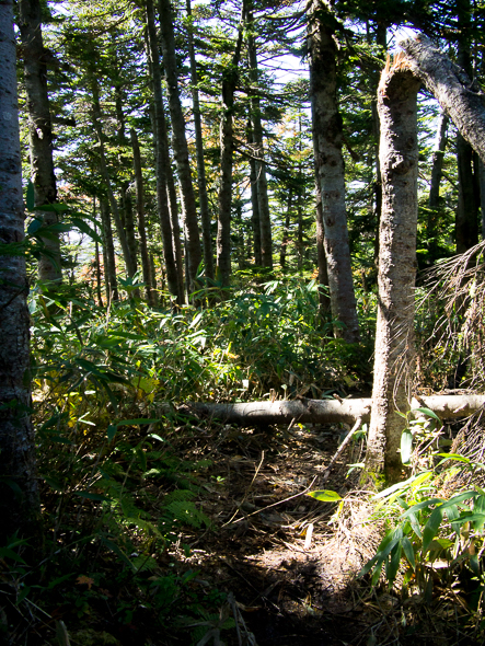 b0244811_20364261.jpg