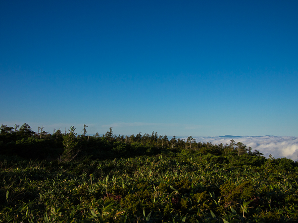 b0244811_21165559.jpg