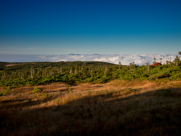 b0244811_21175410.jpg