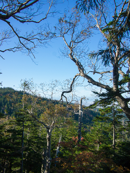 b0244811_2185068.jpg