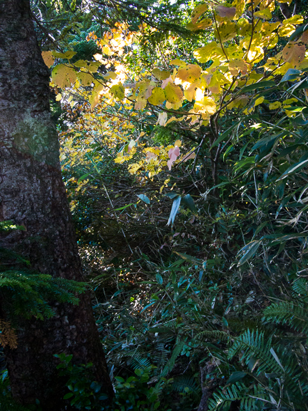 b0244811_22153733.jpg