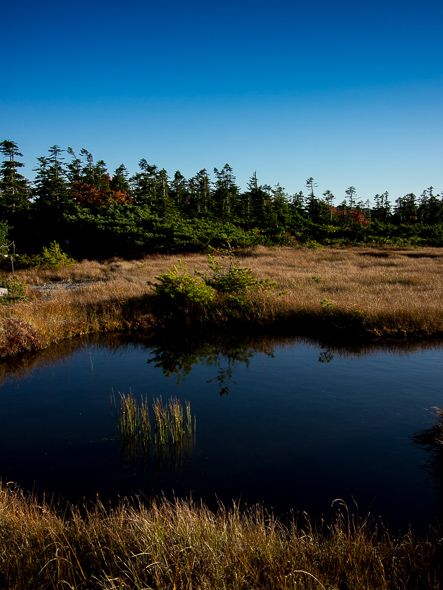 b0244811_22213426.jpg